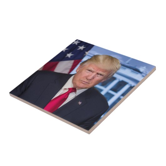 CARREAU DONALD TRUMP (Côté)