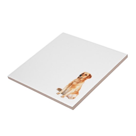 Carreau d'or (Côté)