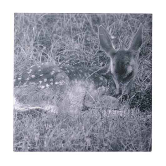 Carreau Dormir au visage (Devant)