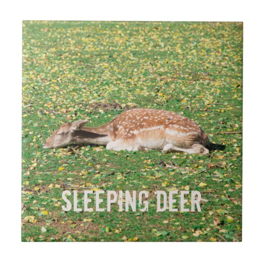 Carreau Dormir Cerf en hibernation en automne sur les prés (Devant)