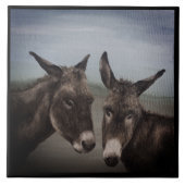 Carreau Double âne (Devant)