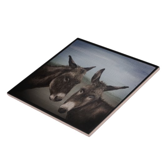 Carreau Double âne (Côté)