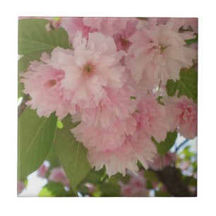 Carreau Double floraison cerisier II printemps fleuri