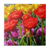 Carreau Double tulipe rouge (Devant)