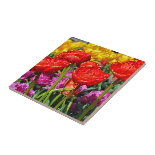 Carreau Double tulipe rouge (Côté)