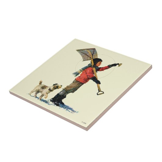 Carreau Douche à neige (Côté)