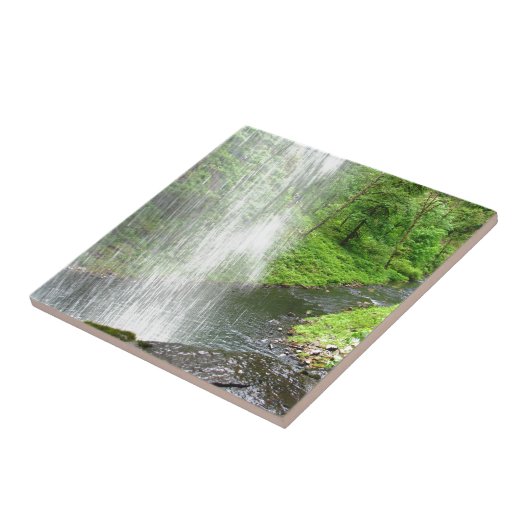 Carreau Douche de natures (Côté)