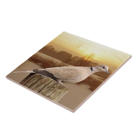 CARREAU DOVE (Côté)