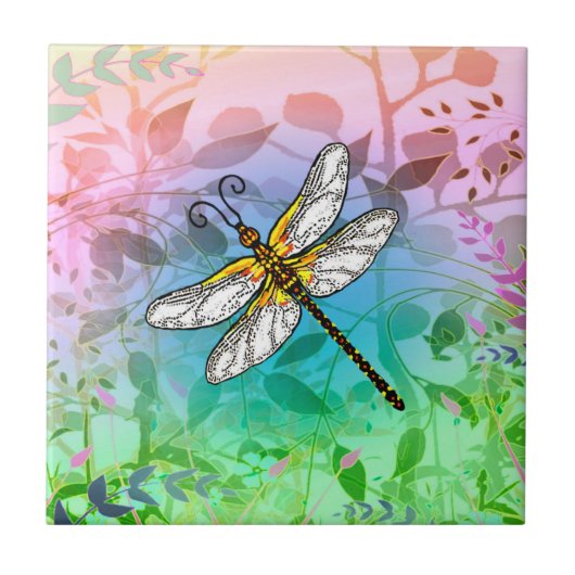 Carreau Dragonfly (Devant)