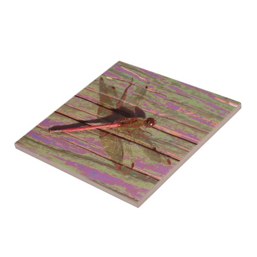 Carreau Dragonfly (Côté)