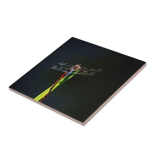 Carreau Dragonfly bleu et noir sur gazon vert et rouge (Côté)