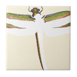 Carreau Dragonfly miniature sur Arrière - plan blanc