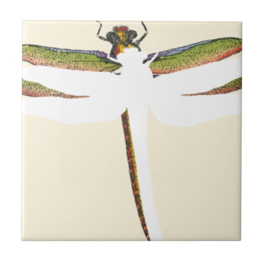 Carreau Dragonfly miniature sur Arrière - plan blanc (Devant)