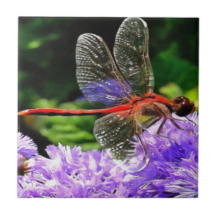 Carreau Dragonfly rouge sur Violet Violet Fleurs