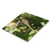 Carreau Dragonfly sur une tuile de brindilles (Côté)
