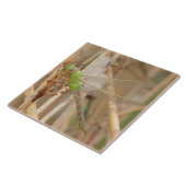 Carreau Dragonfly vert I1 (Côté)