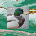 Carreau Drake Mallard à tête verte<br><div class="desc">Carreaux de céramique à thème nature avec photo d'un drake à tête verte de Mallard,  le mâle de l'espèce de canard. Sélectionnez votre taille de tuile. Fait une grande cuisine trivet!</div>