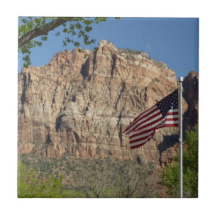 Carreau Drapeau américain dans le parc national de Zion I