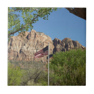 Carreau Drapeau américain dans le parc national de Zion II