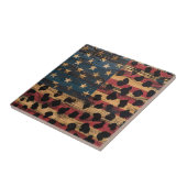 Carreau Drapeau américain rustique imprimé léopard (4) (Côté)