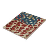 Carreau Drapeau américain rustique imprimé léopard (6) (Côté)