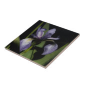 Carreau Drapeau bleu violet Iris Fleur Nature (Côté)