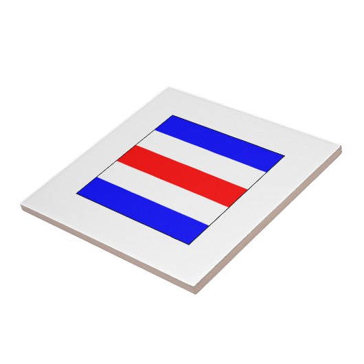 Carreau Drapeau C d'ICS (Côté)