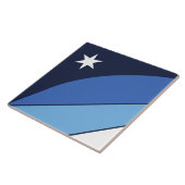 Carreau Drapeau de Columbia (Caroline du Sud) (Côté)