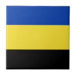 Carreau Drapeau de Gelderland<br><div class="desc">Drapeau de Gelderland,  une province du Pays-Bas. Le drapeau est un tricolore horizontal de bleu,  jaune et noir. Ses couleurs proviennent des armoiries de Gelderland qui,  à leur tour,  étaient basées sur les armoiries de l'Hertogdom Gelre.</div>