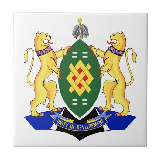 Carreau Drapeau de Johannesburg (Devant)