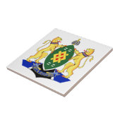 Carreau Drapeau de Johannesburg (Côté)