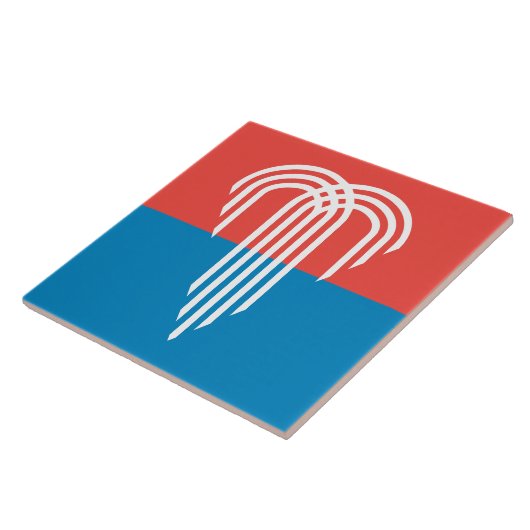 Carreau Drapeau de Kansas (Côté)