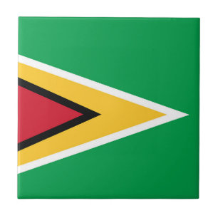 Carreau Drapeau de la Guyane