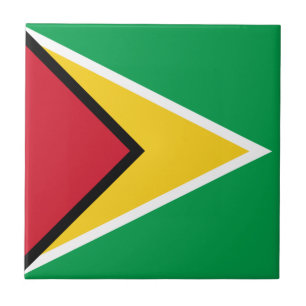 Carreau Drapeau de la Guyane