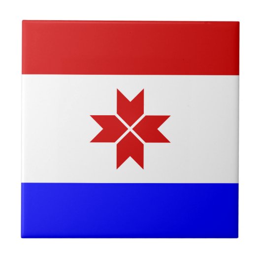 Carreau Drapeau de la Mordovie (Devant)