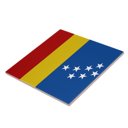 Carreau Drapeau de la ville de Durham (Côté)