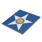 Carreau Drapeau de la ville de Houston (Côté)