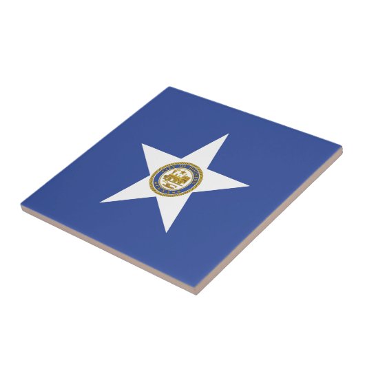 Carreau Drapeau de la ville de Houston (Texas) (Côté)