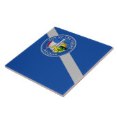 Carreau Drapeau de la ville de Las Vegas (Côté)