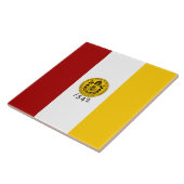 Carreau Drapeau de la ville de San Diego (Californie) (Côté)