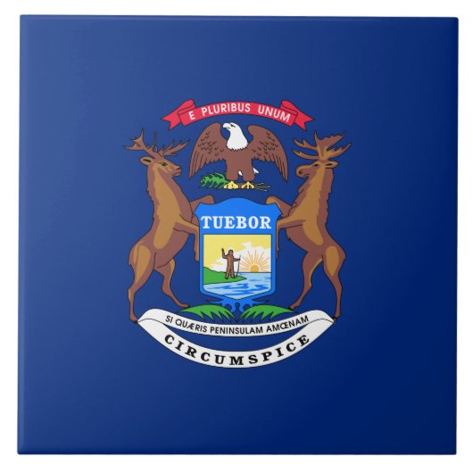 Carreau Drapeau de l'État du Michigan (Devant)