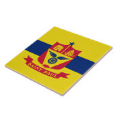 Carreau Drapeau de Saint Paul (Minnesota) (Côté)
