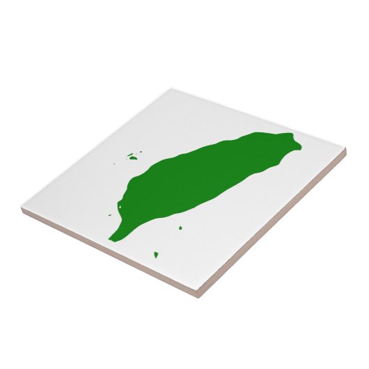 Carreau Drapeau de Taïwan - 世界台灣人大會旗,。 de 也稱為台灣旗 (Côté)