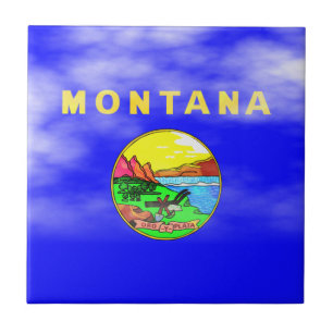CARREAU DRAPEAU DU MONTANA