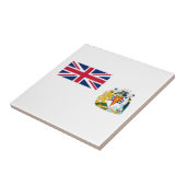 Carreau Drapeau du territoire antarctique britannique (Côté)