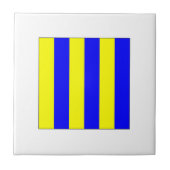 Carreau Drapeau G d'ICS (Devant)