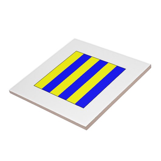 Carreau Drapeau G d'ICS (Côté)