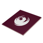 Carreau Drapeau urbain de Phoenix (Côté)