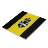 Carreau Drapeau urbain de Pittsburgh (Côté)