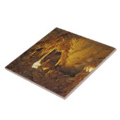 Carreau Drapery Room, Mammoth Cave National Park (Côté)